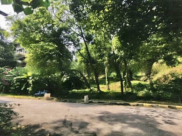 Bungalow Land Lelong Bungalow Land (Lot 129) @ Country Heights Damansara, Kuala Lumpur for Auction